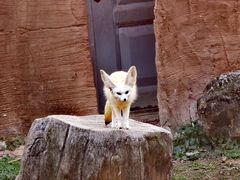 -杭州野生动物世界