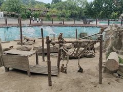 -沈阳森林动物园