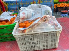 -城南综合水果批发市场(花园路店)