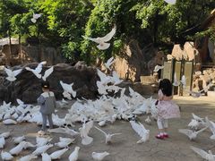 -燕塞湖鸟语林景区