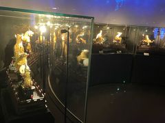 -深圳珠宝博物馆