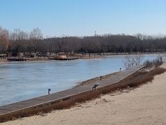 -东郊湿地公园