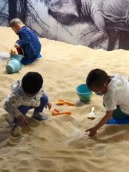 -恐龙探索乐园(磁器口店)