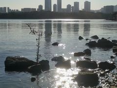 -深圳湾公园(南山区)