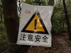 -火炉山森林公园
