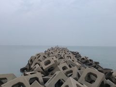 -东疆建设开发纪念公园