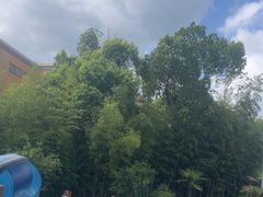 -上海玛雅海滩水公园