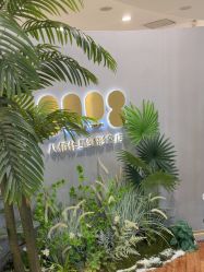 -八佰伴8008星级形象店