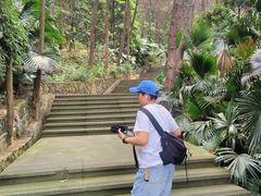 -铁山坪森林公园