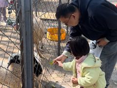 -长白岛森林公园