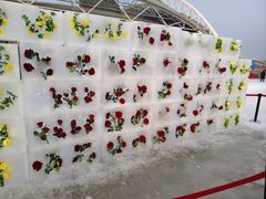 -沈阳奥体冰雪嘉年华