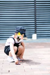 -贝克叔叔儿童摄影工作室(天时嘉园店)