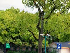 -共青国家森林公园-售票处