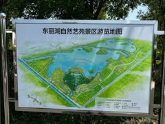 -天津东丽湖风景区