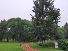 -林栖谷森林康养度假区