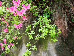 -木兰云雾山