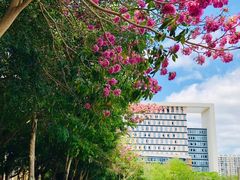 -海南热带海洋学院(三亚校区)