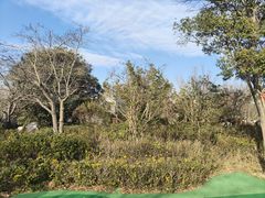 -思念果岭悦温泉