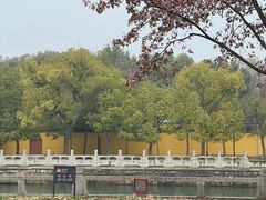-西园戒幢律寺