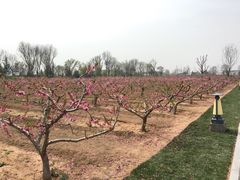 -习仲勋故居