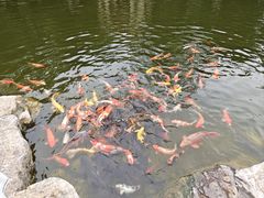 -青岛鑫江温德姆酒店