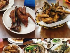 红烧乳鸽-煲煲掂风味煲仔饭餐厅(西区店)