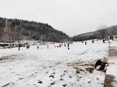 -武陵山森林公园