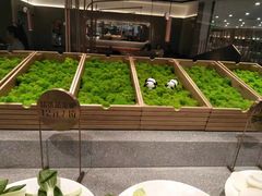 -新辣道鱼火锅(领展购物广场·中关村店)