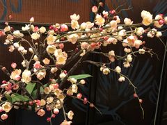 -同庆楼(滨湖万达广场店)