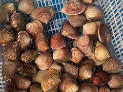 -和源祥·日照菜扛把子(万平口一店)