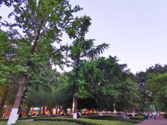 -龙头寺公园