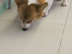 -怪兽屋·羊驼·猫咖·狗咖(俊华广场店)