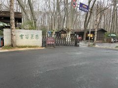 -灵谷景区