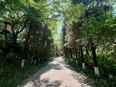 -高尔山公园