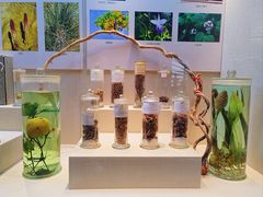 -广东中医药博物馆