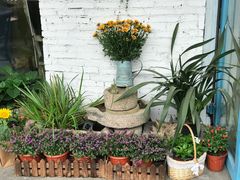 -艾蜜西餐厅(梅园店)