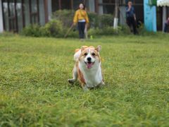 -桤木河湿地公园