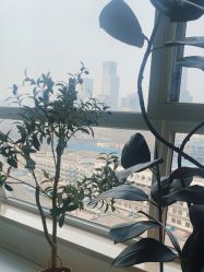 -初·印象孕妇儿童摄影馆