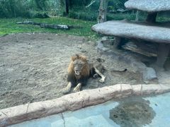 -北京野生动物园