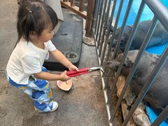 -泉城欧乐堡海洋极地世界