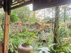 -青城甲(青城山店)