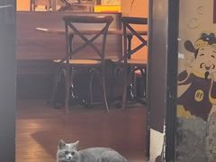 -猫岛主趣味餐厅(鼓浪屿店)