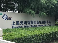 -光明牧业有限公司金山种奶牛场