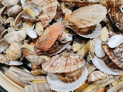 -77号渔船·蒸海鲜青岛菜(积米崖店)