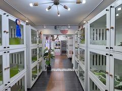 -青奢宠物·青奢猫舍