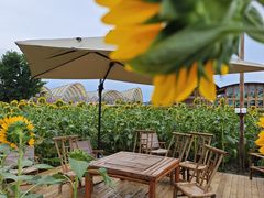 -中国天府农业博览园