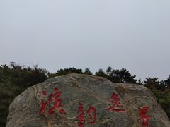 -塘沽森林公园