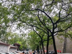 -东仓门早市