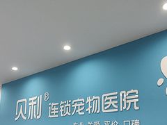 -贝利宠物医院·骨科·眼科·肿瘤转诊中心(南坪诊疗中心)