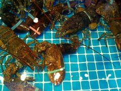-新金盛·海鲜酒楼(盐田店)